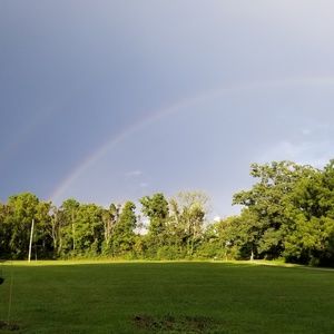 Meet your Posher, Miranda